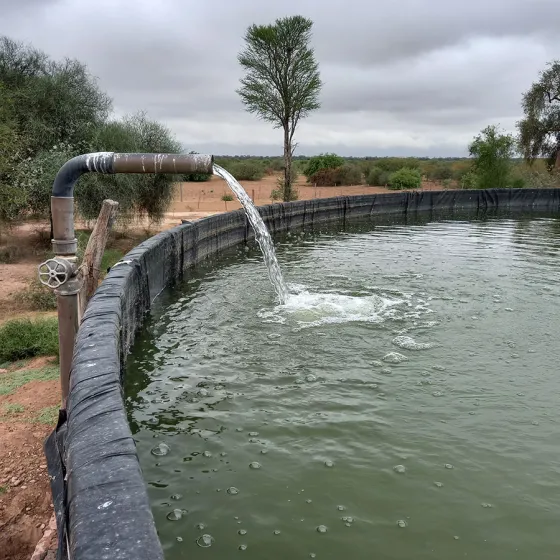 Fotovoltaico y Bombeo solar