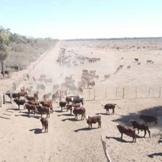 Sistema Solar Fotovoltaico en La Buen Agua - Anta